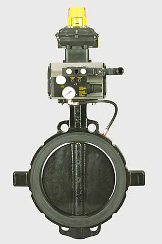 Series 485 - 10" Valve